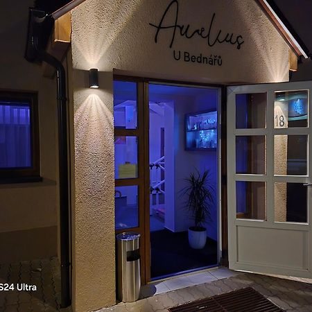 Penzionu Aurelius U Bednaru パヴロフ エクステリア 写真
